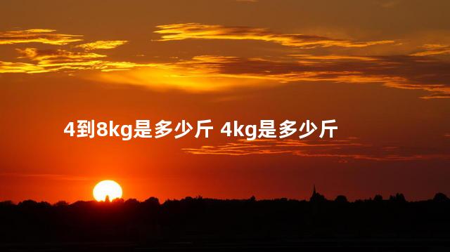 4到8kg是多少斤 4kg是多少斤
